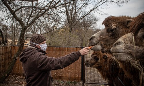 Zagrebački ZOO otvara se 1. svibnja