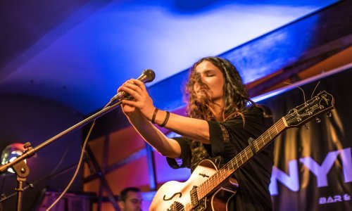 Tko kaže da nema koncerata? Razgovarali smo s idejnom začetnicom genijalnog projekta: Mnogi muzičari su odradili i after, vrijeme je da osvijestimo riječ 'solidarnost'