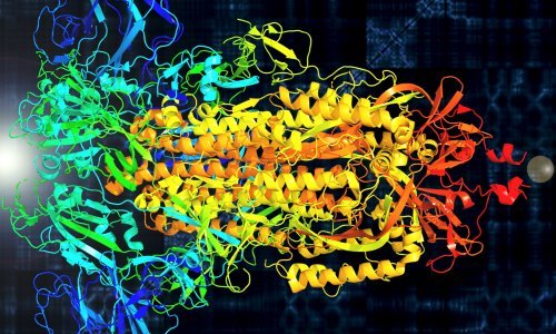Slovenci rade na posebnom rječniku: Oni koji krše izolaciju - koronabedaki?