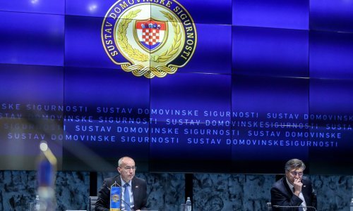 Zasjeda Koordinacija za sustav domovinske sigurnosti