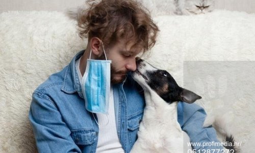 Veterinarski fakultet: Kućni ljubimci trebaju biti u samoizolaciji s oboljelim vlasnicima, bez tuđe skrbi