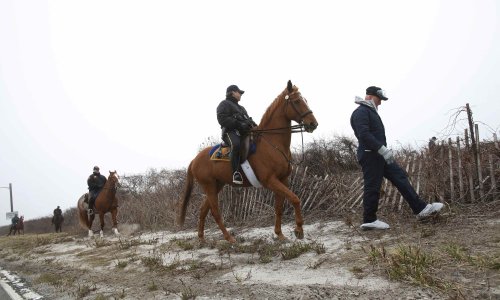 Serijski ubojica na Long Islandu - policajac?!