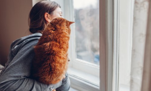 Ne pate u izolaciji samo ekstremni ekstroverti. Jedna je psihologinja objasnila zašto nam odvojenost od ljudi pada toliko teško i nikad nećete pogoditi pravi razlog