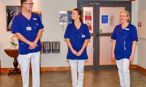 Humanost na djelu: Švedska princeza Sofia u jeku pandemije odlučila volontirati u bolnici