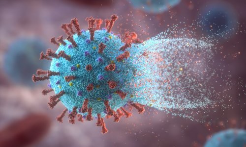 U Ličko-senjskoj županiji i peti dan bez novih slučajeva zaraze