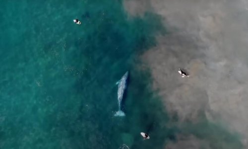 Ponekad se najvažnije stvari kriju pod površinom