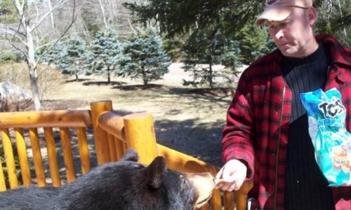 U pokolju u Kanadi najmanje 18 mrtvih, motiv zasad nije jasan