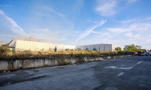 Mladića napao čopor pasa na ulazu u Split; jedan ga ugrizao; rastjerao ih mašući daskom