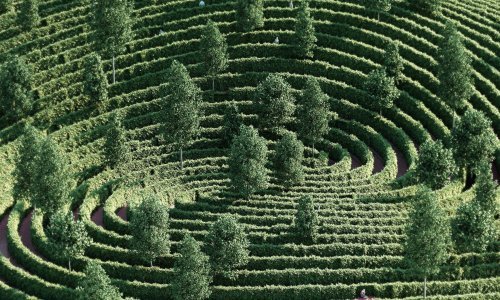 Austrijanci smislili savršeni park za doba koronavirusa