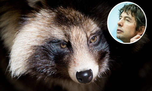 Glavni njemački virolog iznio revolucionarnu teoriju: Koronavirus nije izazvao ni šišmiš ni pangolin već - kunopas!