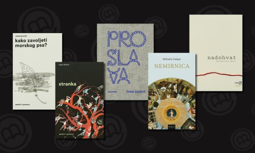 Ovo su finalisti književne nagrade tportala za najbolji hrvatski roman