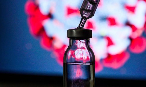 'Virus je prirodnog podrijetla, važno je otkriti njezinog domaćina'