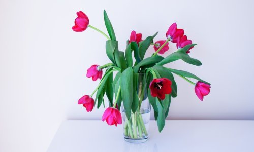 Cvijeće vam prekratko traje? Ovaj genijalan trik pomoći će vam da oživite uvenuli buket u nekoliko minuta