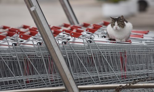 Hrvatsko gospodarstvo usporilo blaže nego drugdje, no veći udar nas čeka u drugom kvartalu