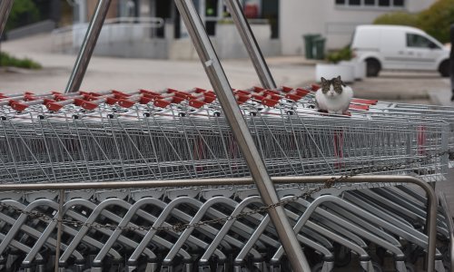 Potrošnja građana u travnju sasječena za 25 posto, industrijska proizvodnja trenusla 11 posto