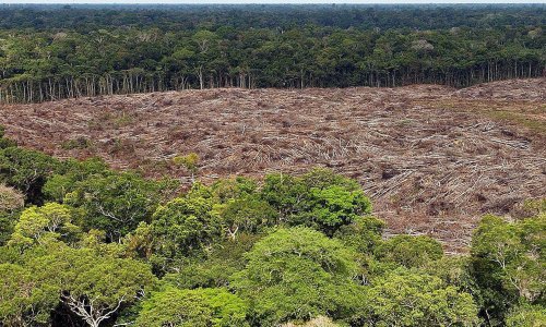 U travnju naglo poraslo krčenje Amazonije; ekolozi krive brazilskog predsjednika Bolsonara