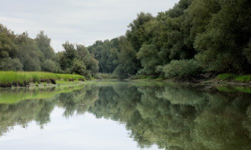 Od ponedjeljka radi Kopački rit; rekreativni ribolovci ponovno mogu na vodu