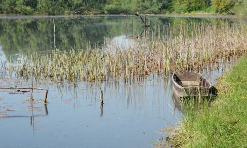 Za posjetitelje ponovo otvoren Park prirode Lonjsko polje