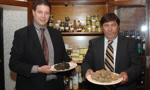 Zigante: Ne vjerujem da će tartufi postati srpski brend