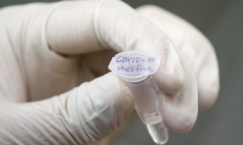 Inovio cjepivo protiv korone proizvodi antitijela kod miševa i zamoraca