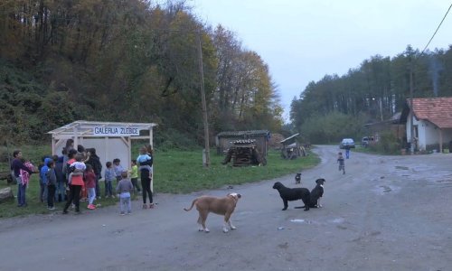 'Povratak u Žlebice' Marijana Molnara u Galeriji Vladimir Bužančić