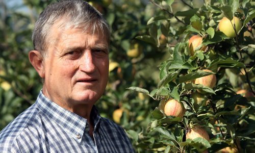 Voćari u drami: Tolušićeva packa srušila nam prodaju od 15 do 20 posto