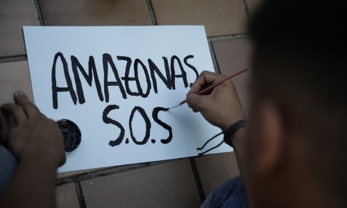 Brazilska Amazona doživljava najgore šumske požare u zadnjih 13 godina