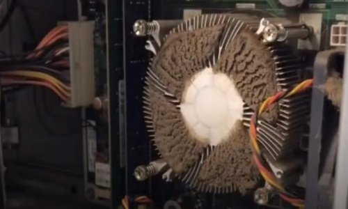 Zašto je važno brinuti o higijeni računala? Muke ovog servisera sve će vam objasniti!