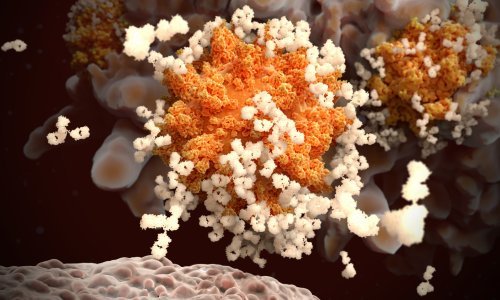 Antitijela nisu svemoguća: Nikakav imunitet ne jamči vječnu zaštitu od koronavirusa, upozoravaju virolozi