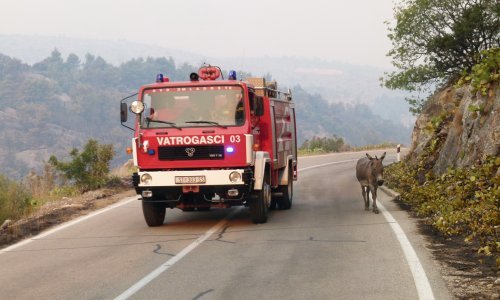 Požar na Braču lokaliziran: Vatrogasci ne ulaze u minski sumnjivo područje, no otkud mine na tom otoku?