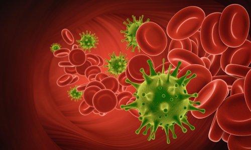 Koronavirus i u hrvatskom veleposlanstvu u Beogradu