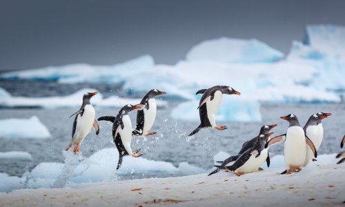 Prijeti nam scenarij s kraja ledenog doba kad se na Antarktici led povlačio 50 metara dnevno