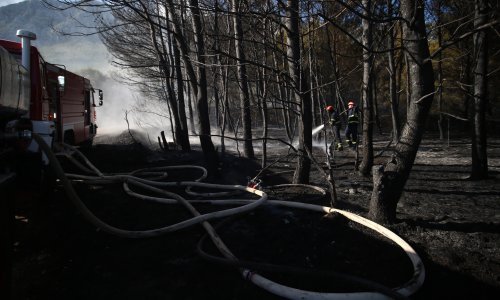 Vatrogasci svladali veliki požar u Kaštel Sućurcu