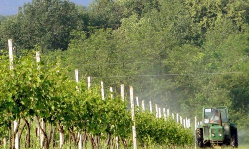 'Blokirat ćemo Moralićeve vinograde!'