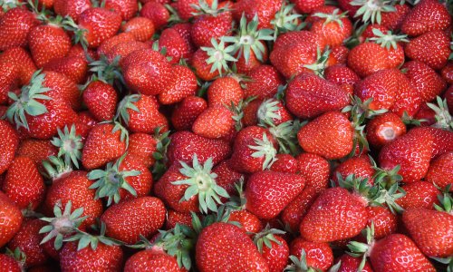 Uhićene tri osobe koje su kod Pitomače ukrale 100 kilograma jagoda