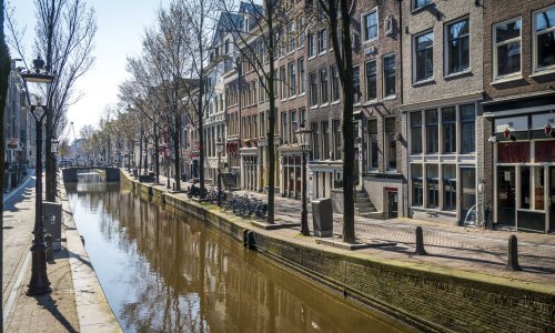 Nizozemska će ubiti kune na farmama zaraženim koronavirusom