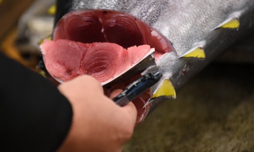 Iz Lidla se povlači Marinblu 'Odrezak sashimi tune'