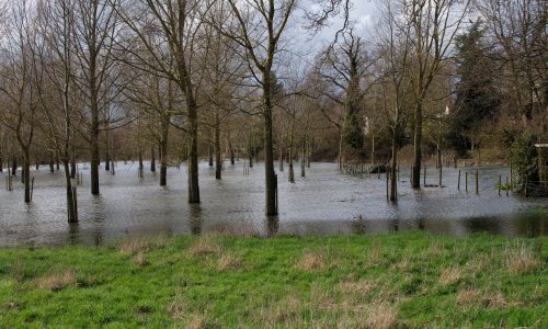 Poplave na istoku Češke, jedan muškarac poginuo