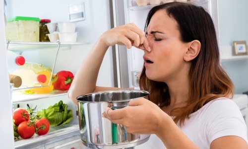 Brzo i efikasno: Jednim potezom riješite se neugodnih mirisa iz hladnjaka