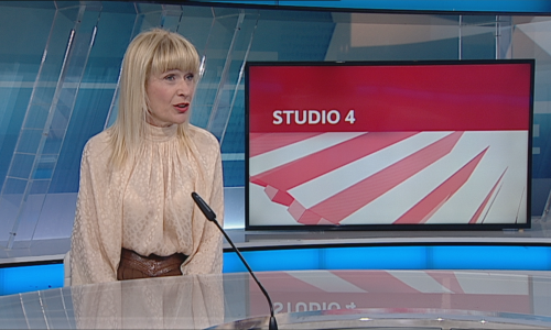 Profesorica objašnjava pravnu zavrzlamu oko konverzije kredita iz švicarskog franka u euro