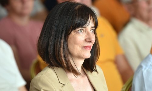 Divjak: Projekt Centra za translacijsku medicinu na Srebrnjaku mogao bi propasti