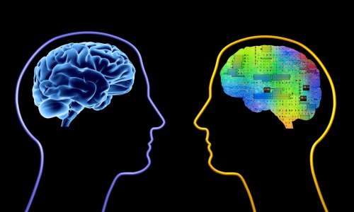 Znanstvenici potvrdili 12 čudnih, ali istinitih znakova koji otkrivaju koliko ste inteligentni