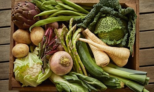 Kriznu jesen opet ćemo dočekati bez domaće hrane, voće i povrće iz uvoza preplavilo trgovine