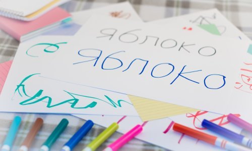 Rusi škole opremaju sustavom videonadzora zlosutna naziva, krenuli i prosvjedi