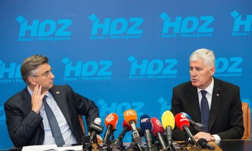Članice HNS-a BiH podržavaju HDZ-ovu listu za dijasporu