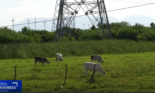 [VIDEO] U sukobima zbog vjetroelektrane ubijeno 15 ljudi