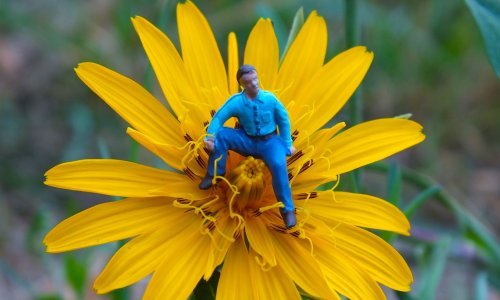 Češke figurice u prirodi neobično su zabavne