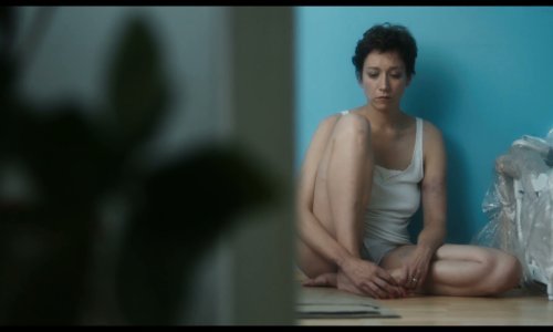 Motovun Film Festival otkrio prve filmove: 'Tereza37' po scenariju Lane Barić i srpski kinohit 'Ajvar' predvode regionalni program