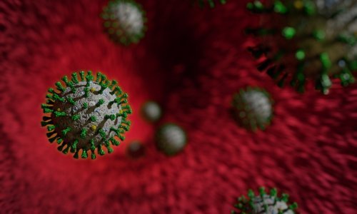 Znanstvenici istražili: Prevladavajući soj koronavirusa 'sposobniji' je zaraziti ljudske stanice od izvornog koji se pojavio u Kini