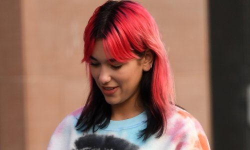 Dua Lipa s ružičastim medvjedićima Internet dovela do usijanja